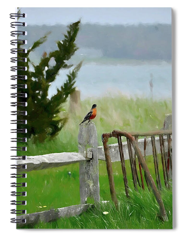 Landscape Spiral Notebook featuring the photograph Robin by Alison Belsan Horton