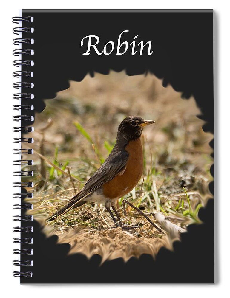 Robin Spiral Notebook featuring the photograph Robin by Holden The Moment