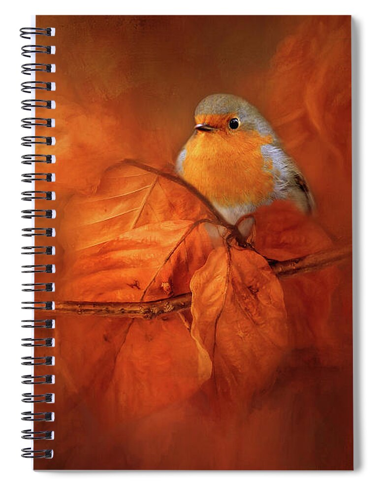 Birds Spiral Notebook featuring the photograph Robin Red Breast In Autumn by Theresa Tahara