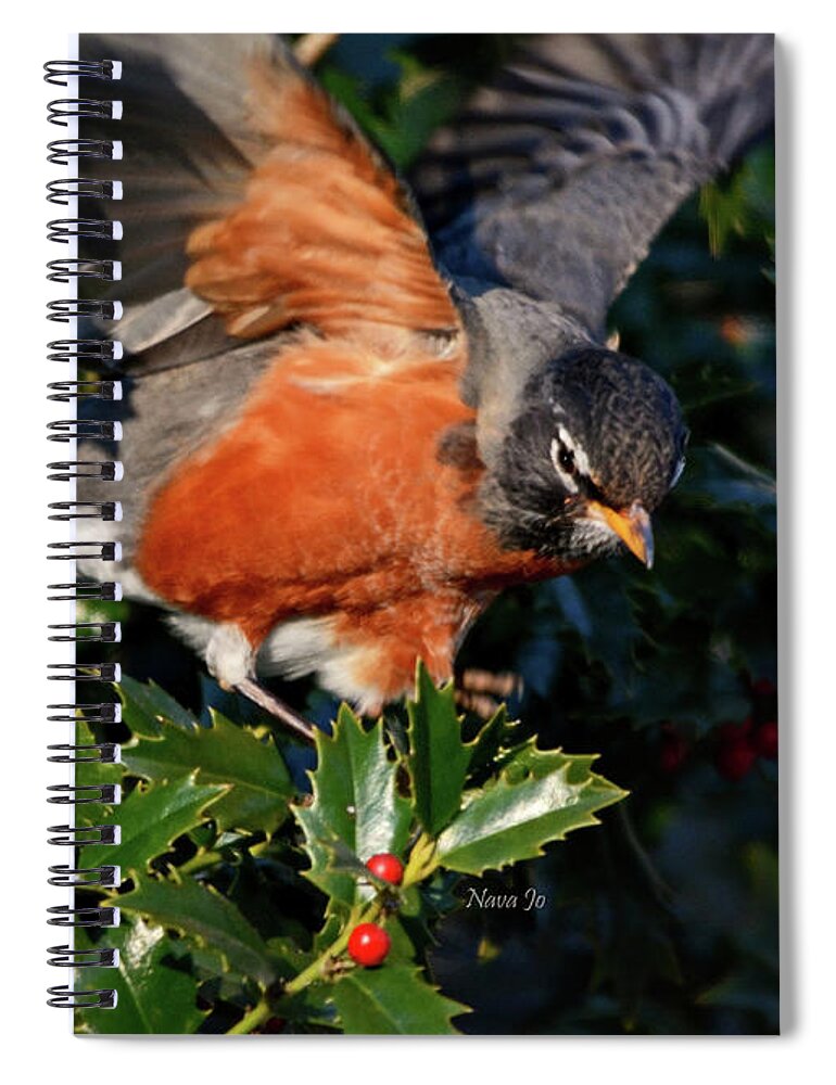 Nature Spiral Notebook featuring the photograph Robin With Berries by Nava Thompson