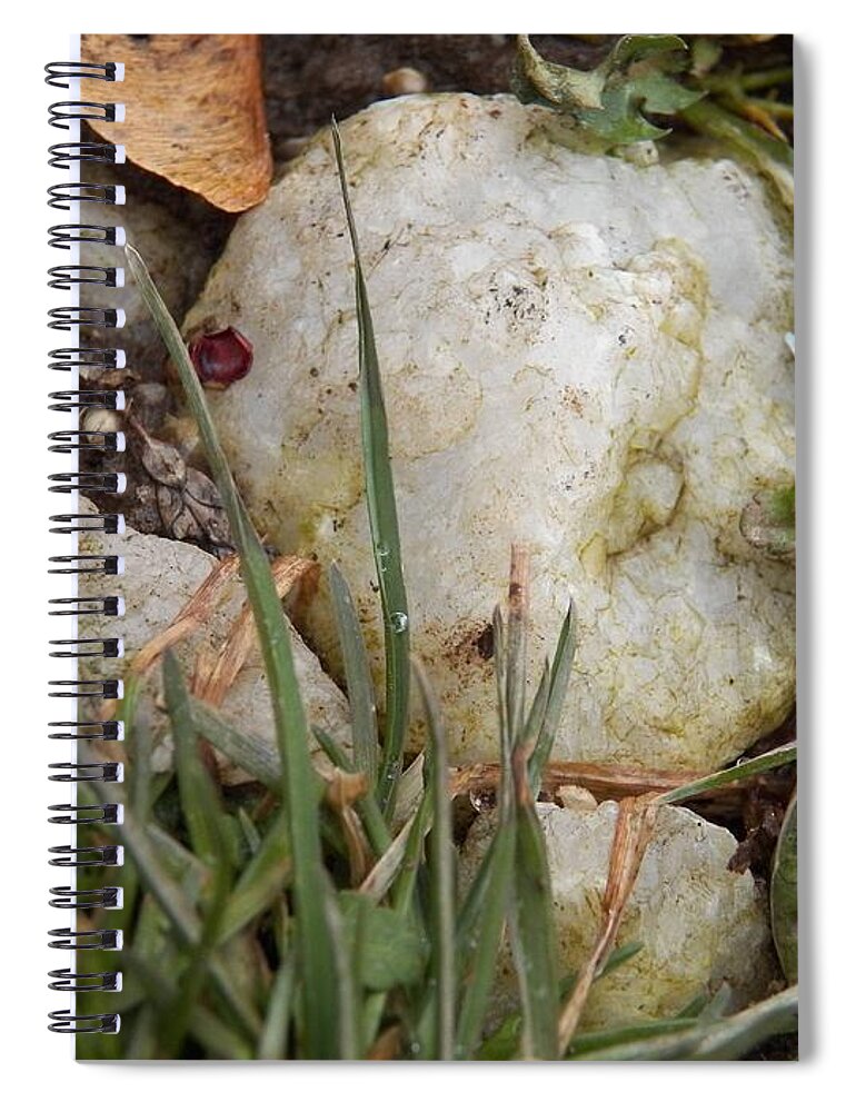 Rocks Spiral Notebook featuring the photograph Rocks and Grass by Corinne Elizabeth Cowherd