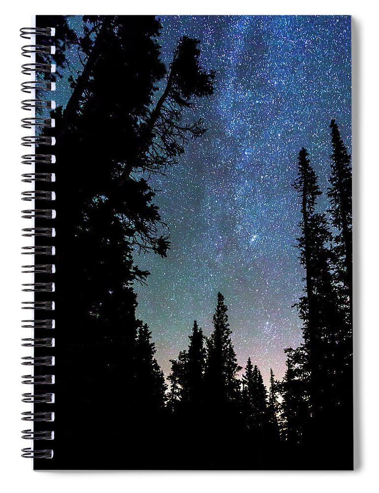 Stars Spiral Notebook featuring the photograph Rocky Mountain Forest Night by James BO Insogna
