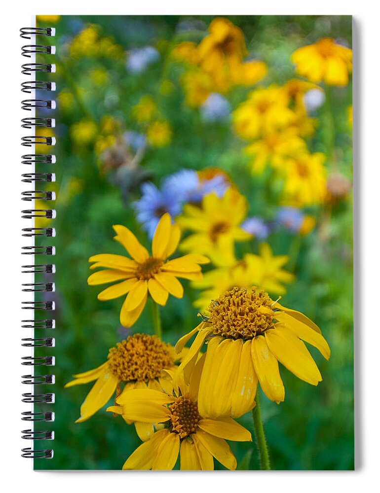 Rocky Mountain Spiral Notebook featuring the photograph Rocky Mountain Wildflowers by Cascade Colors