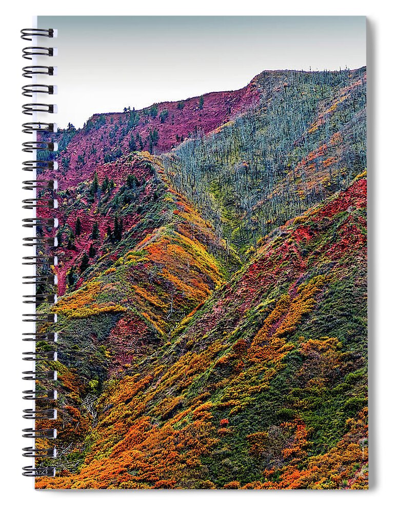 Rocky Mountains Spiral Notebook featuring the photograph Rocky Mountains in the Fall by Randy J Heath