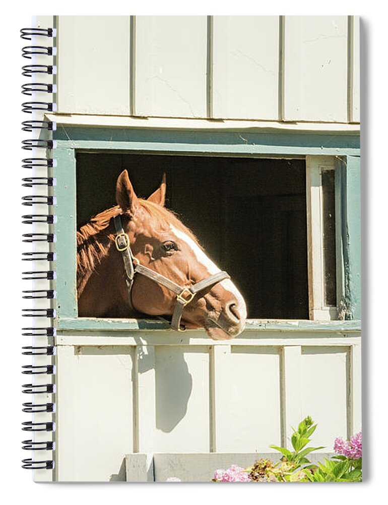 Horse Spiral Notebook featuring the photograph Rogers World by Pamela Williams