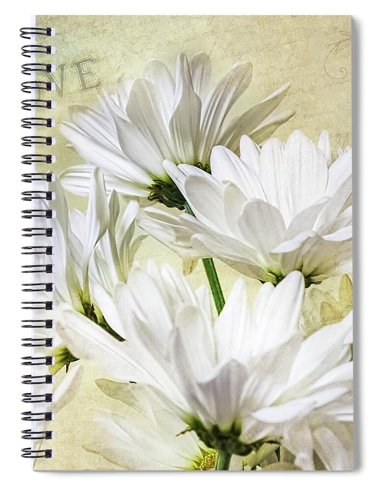 Daisy Spiral Notebook featuring the photograph Romance and White Daisies by Melissa Bittinger