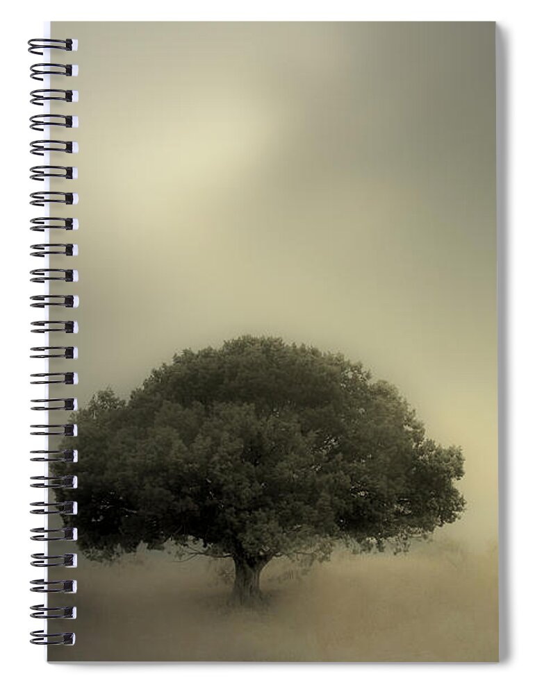 Tree Spiral Notebook featuring the photograph Room To Grow by Mark Ross