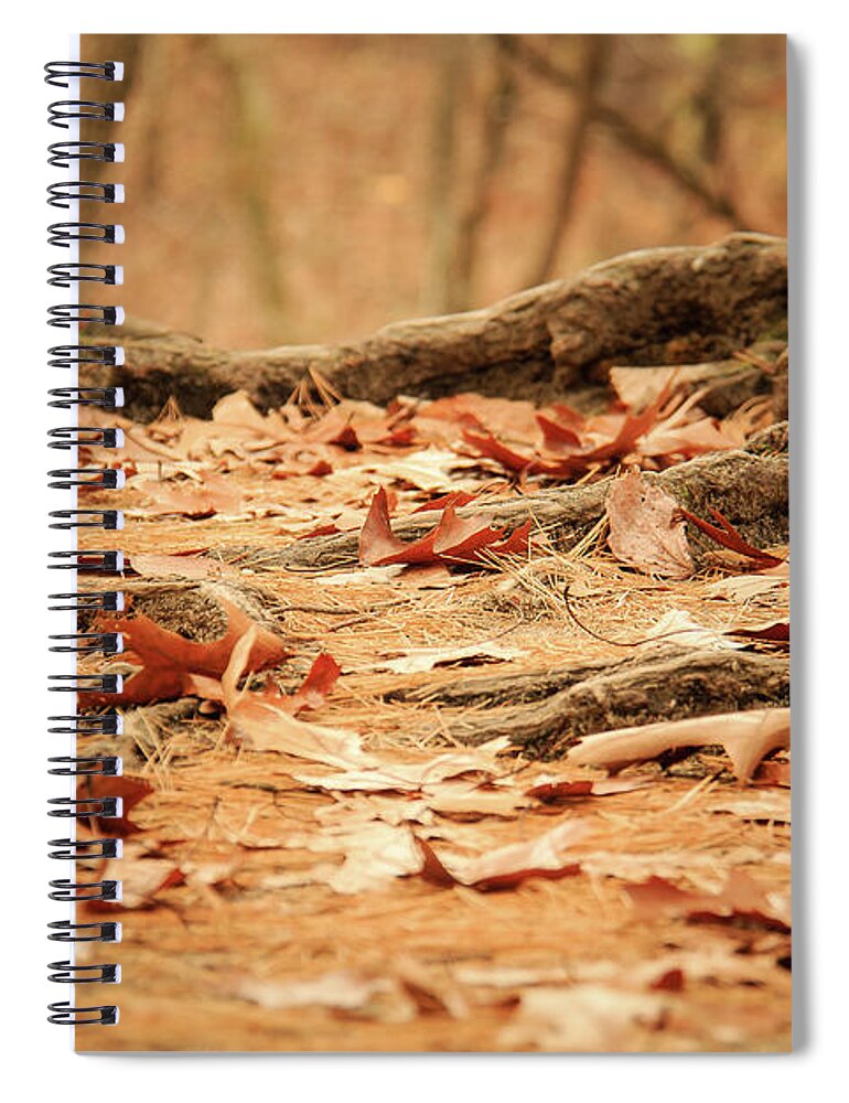 Illinois Spiral Notebook featuring the photograph Roots Along the Path by Joni Eskridge
