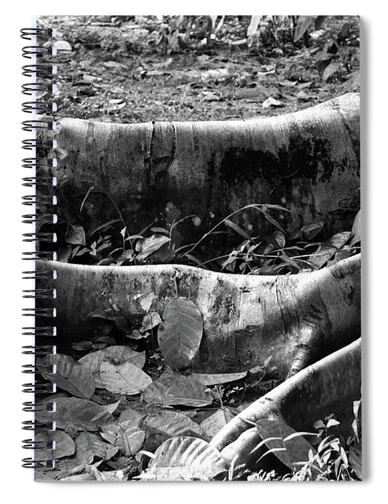 Michelle Meenawong Spiral Notebook featuring the photograph Roots Black And White by Michelle Meenawong