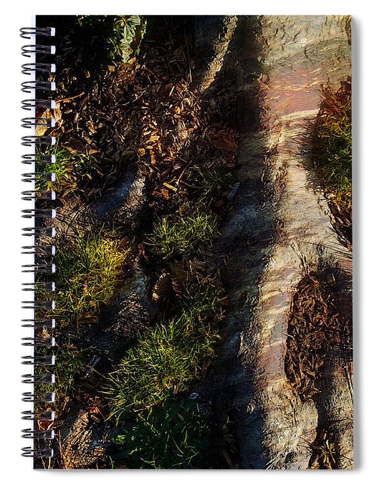 Roots Spiral Notebook featuring the photograph Roots by Glenn McCarthy Art and Photography
