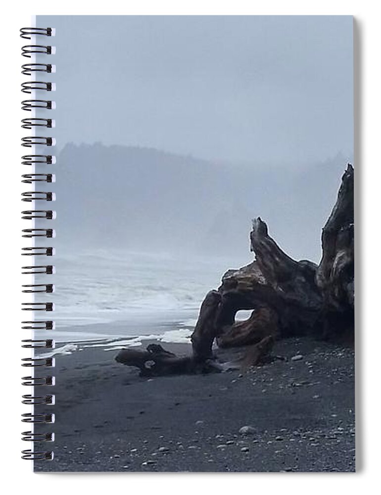 Rialto Beach Spiral Notebook featuring the photograph Roots Touch Pacific by Alexis King-Glandon