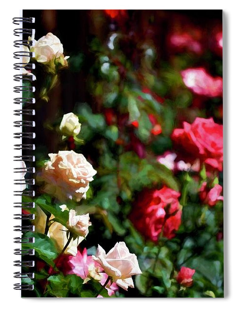 Floral Spiral Notebook featuring the photograph Rose 376 by Pamela Cooper