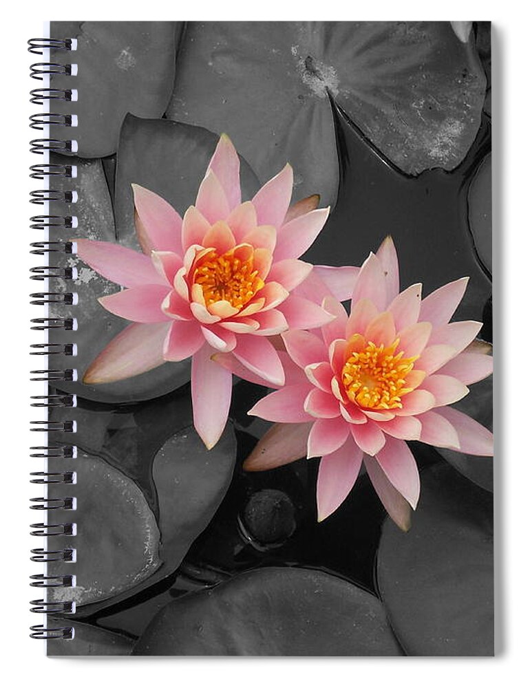 Rose From The Water Spiral Notebook featuring the photograph Rose From The Water by Colleen Cornelius
