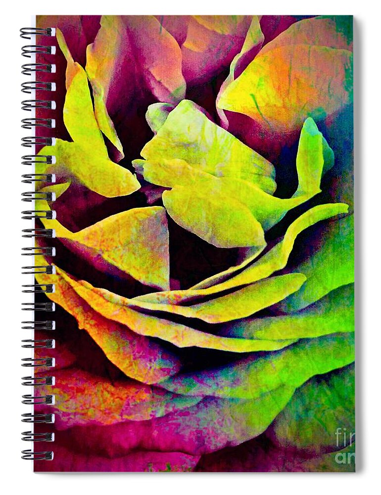Equality Spiral Notebook featuring the photograph Rose Of Equality by Robert ONeil