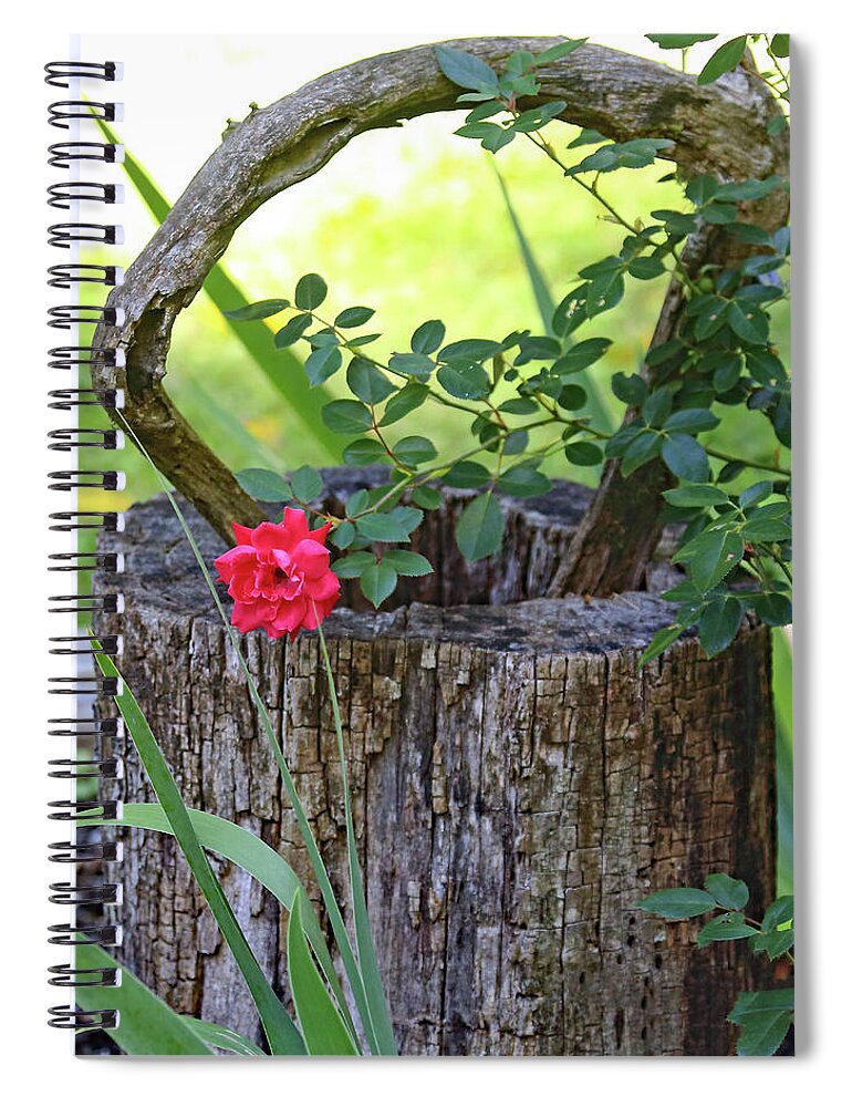 Rose On Wood Spiral Notebook featuring the photograph Rose on Wood by PJQandFriends Photography
