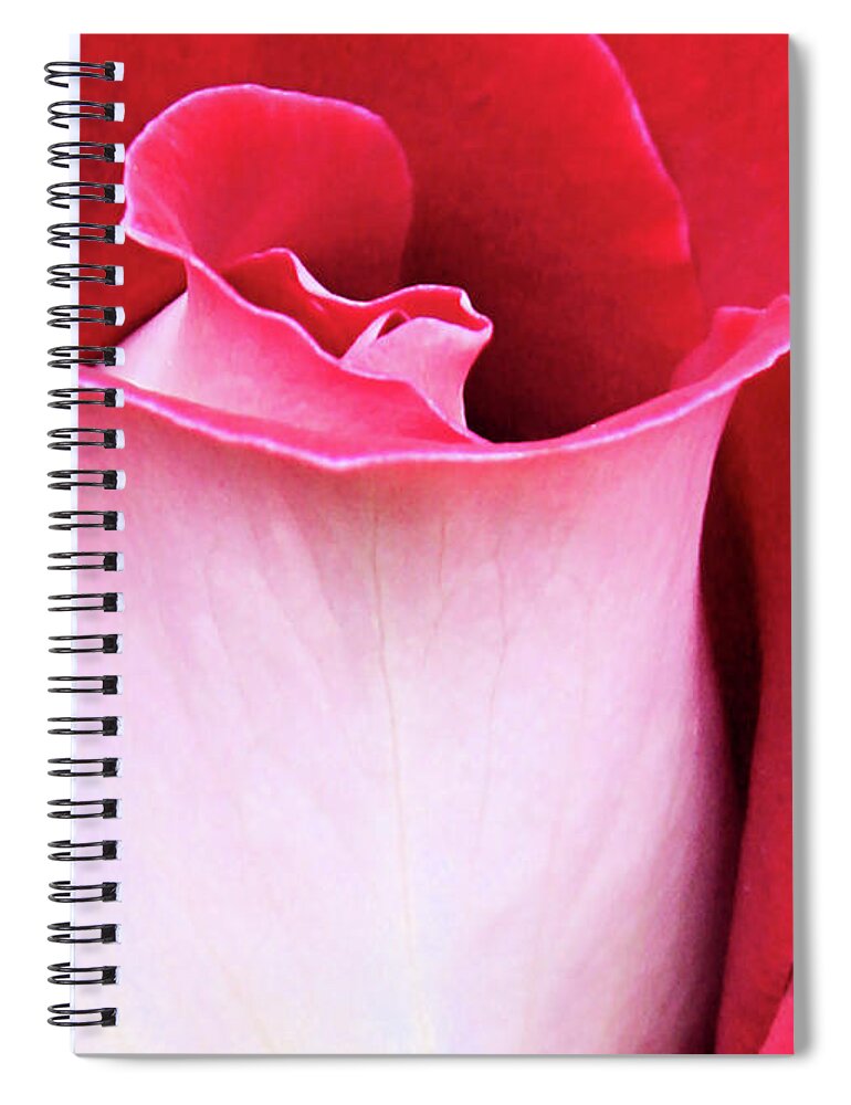 Rose Spiral Notebook featuring the photograph Rose Petals by Kristin Elmquist