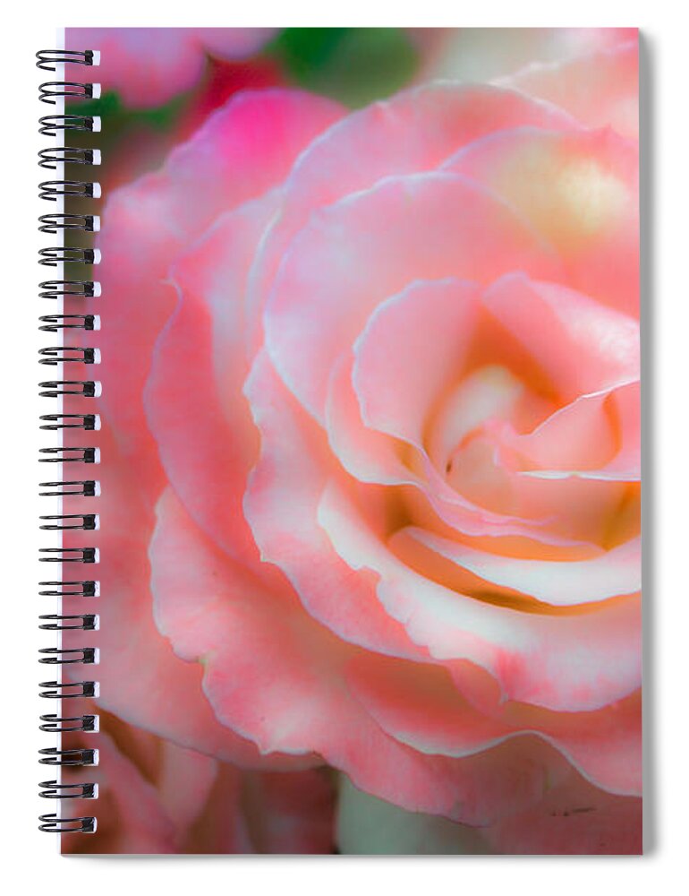 Roses Spiral Notebook featuring the photograph Rose by Toni Somes