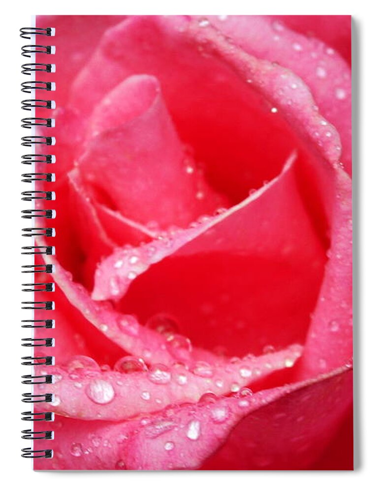 Close Up Spiral Notebook featuring the photograph Rosey by Beth Collins