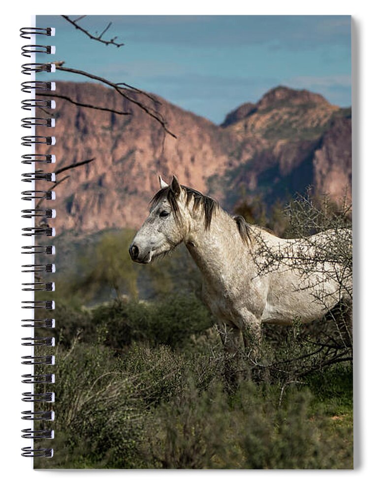 Wild Horses Spiral Notebook featuring the photograph Rough, Proud, and Free by American Landscapes
