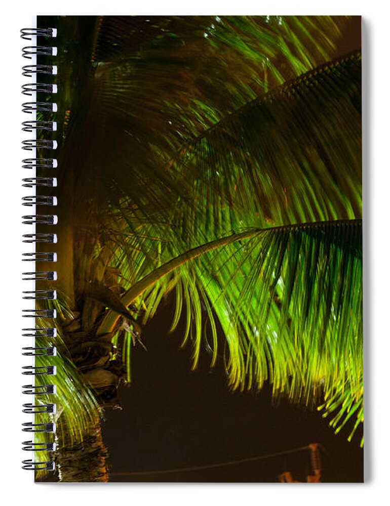 Color Image Spiral Notebook featuring the photograph Royal Palm Night Out by Brian Green