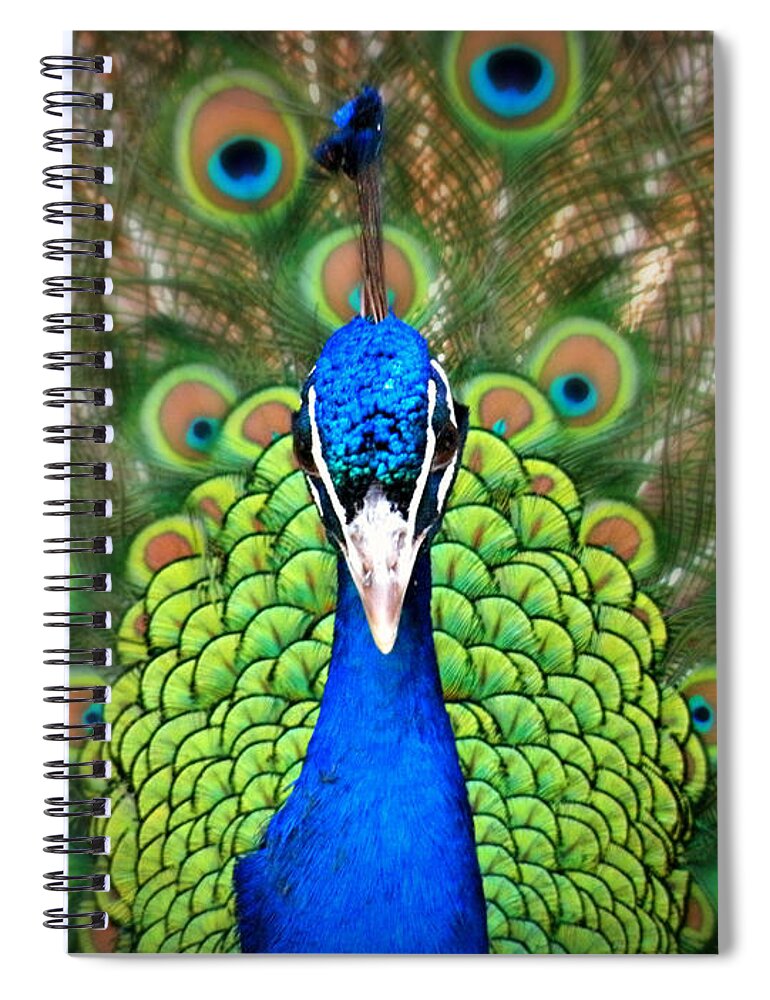 Royalty Spiral Notebook featuring the photograph Royalty by Micki Findlay