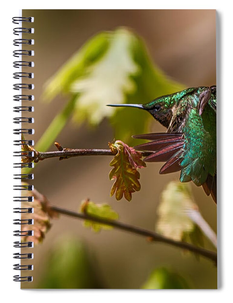 Hummer Spiral Notebook featuring the digital art Ruby Throated Hummingbird by John Haldane
