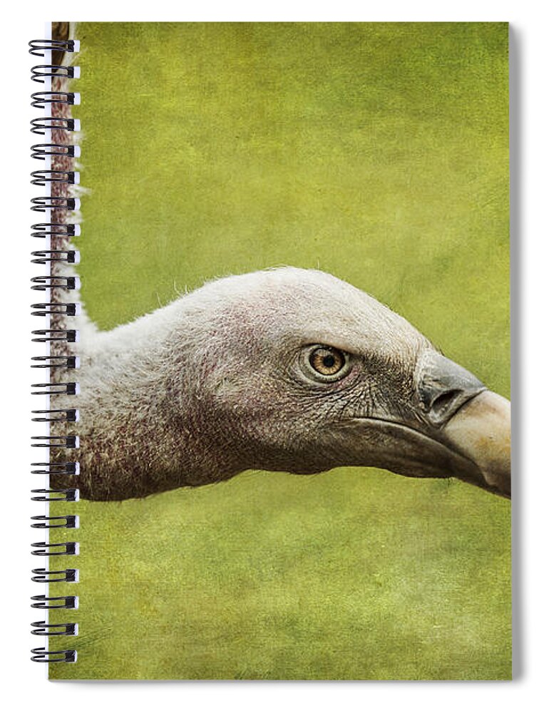 Ruppell's Vulture Spiral Notebook featuring the photograph Ruppell's Vulture Gyps rueppellii by Liz Leyden