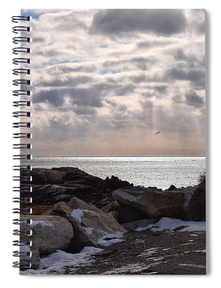 New Hampshire Spiral Notebook featuring the photograph Rye In Winter by Tricia Marchlik