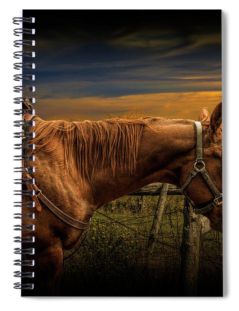 Saddle Spiral Notebook featuring the photograph Saddle Horse on the Prairie by Randall Nyhof