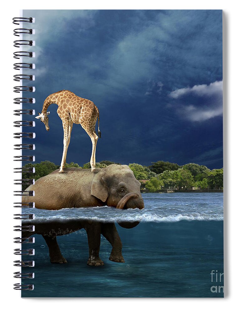 Girafe Spiral Notebook featuring the photograph Safe by Martine Roch