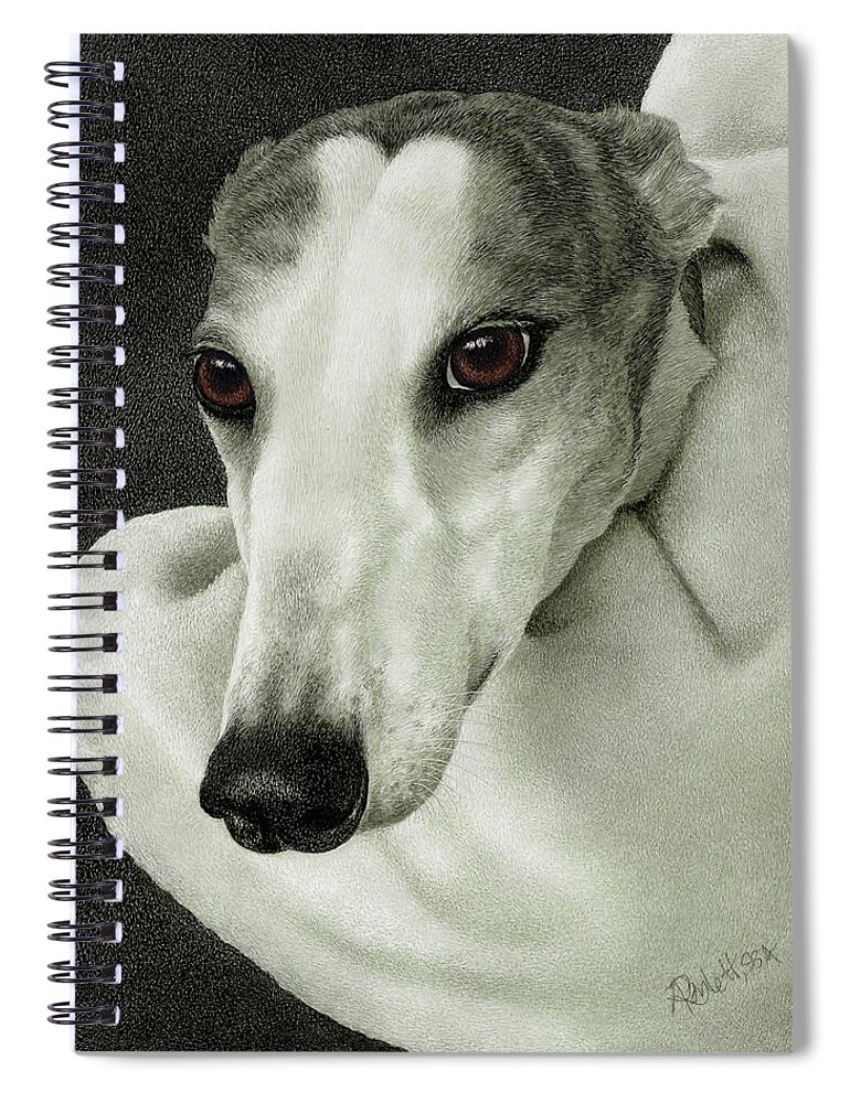 Greyhound Spiral Notebook featuring the drawing Safety by Ann Ranlett