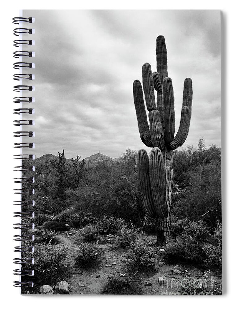 Saguaro Cactus Spiral Notebook featuring the photograph Saguaro Cactus by Tamara Becker
