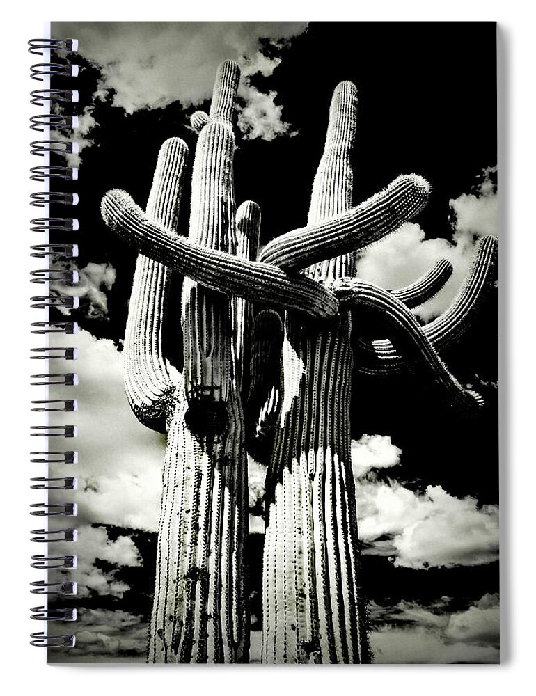 Usa Spiral Notebook featuring the photograph Saguaro Embrace by Roger Passman