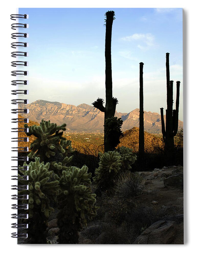 Saguaro Spiral Notebook featuring the photograph Saguaro Silhouette by Jill Reger