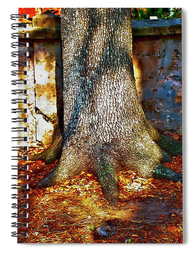 Tree Shadows Spiral Notebook featuring the photograph Saint Augustine Tree Shadows by Gina O'Brien