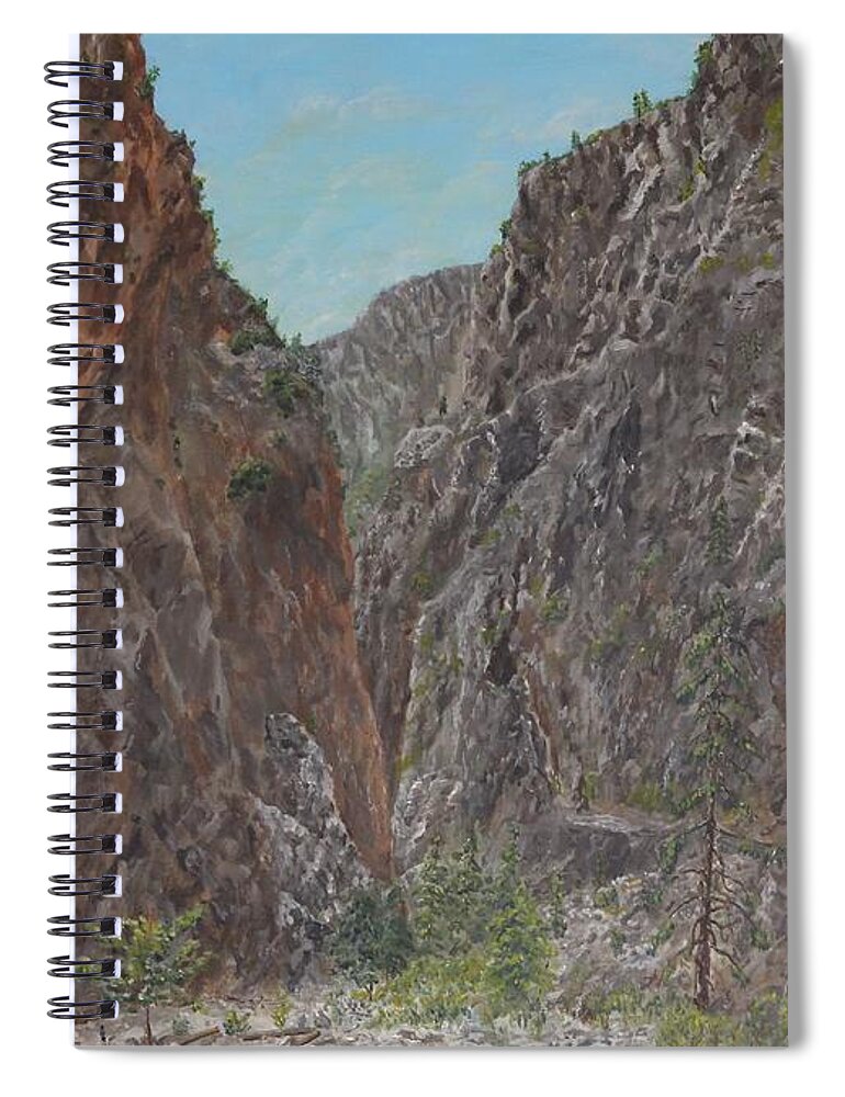 Samaria Spiral Notebook featuring the painting Samaria Gorge by David Capon