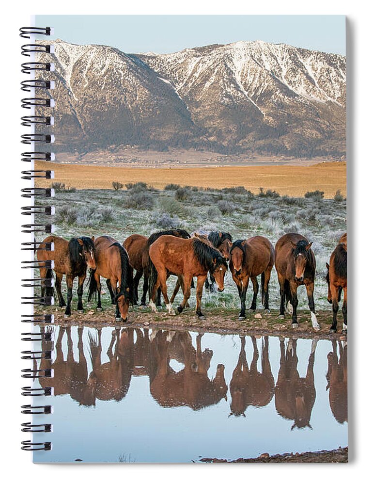  Spiral Notebook featuring the photograph Samson at the pond by John T Humphrey