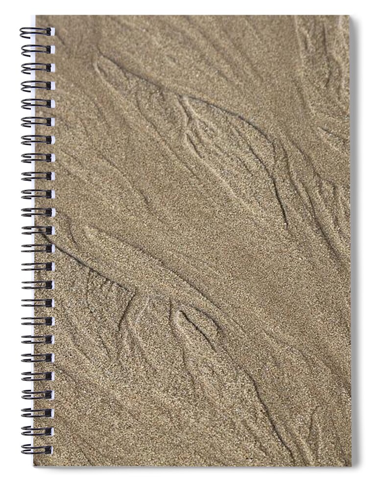 Sand Pattern Spiral Notebook featuring the photograph Sand Patterns by Living Color Photography Lorraine Lynch