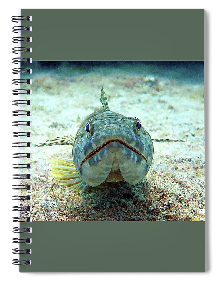 Underwater Spiral Notebook featuring the photograph Sandiver by Daryl Duda