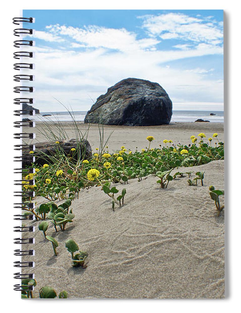 Adria Trail Spiral Notebook featuring the photograph Sandy Point of View by Adria Trail