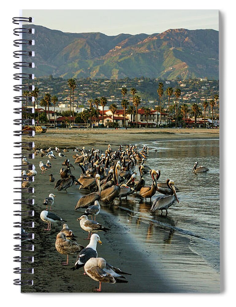 Santa Barbara Spiral Notebook featuring the painting Santa Barbara Sunset Crowd on the Beach by Georgia Mizuleva