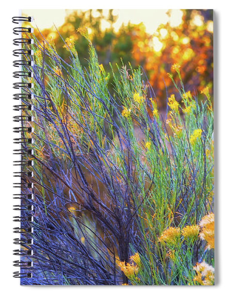 Santa Fe Spiral Notebook featuring the photograph Santa Fe Beauty II #1 by Stephen Anderson