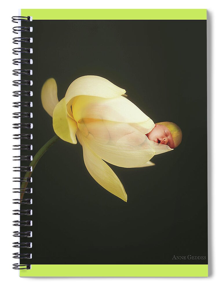 Lotus Spiral Notebook featuring the photograph Savanna in a Lotus Flower by Anne Geddes