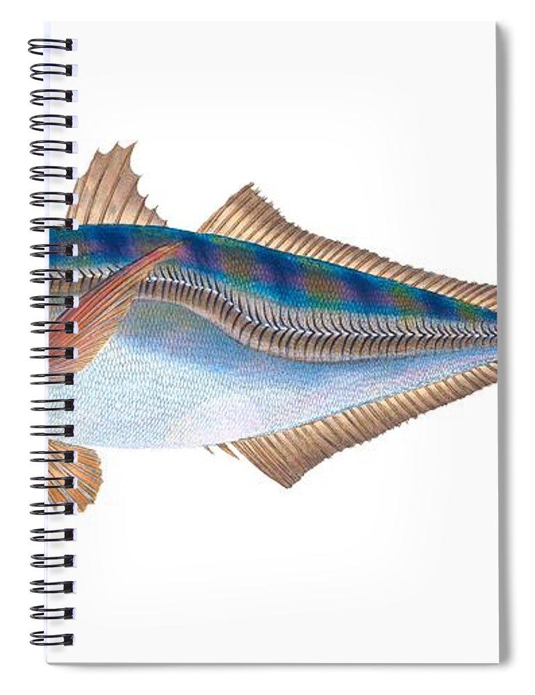 Animal Spiral Notebook featuring the digital art Scad Fish by Roy Pedersen