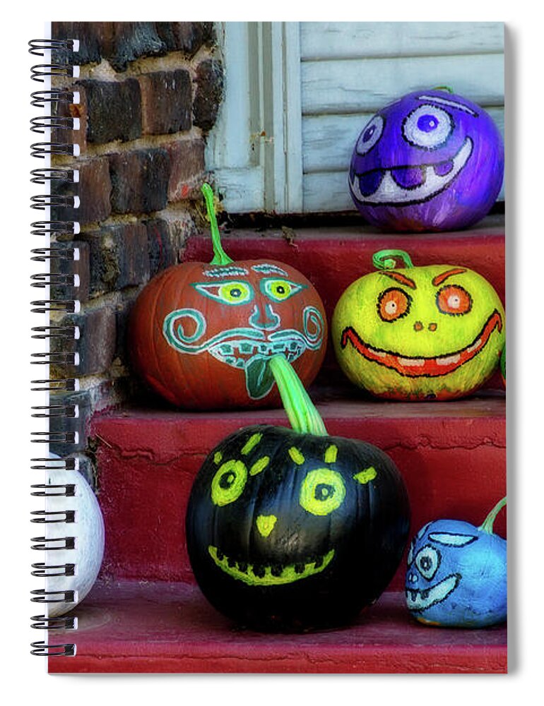 Photography Spiral Notebook featuring the photograph Scary on the Steps by Terry Davis