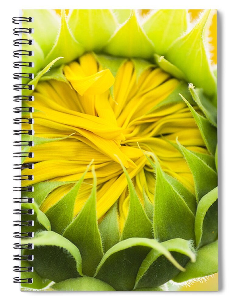 Christi Kraft Spiral Notebook featuring the photograph Scrunched by Christi Kraft