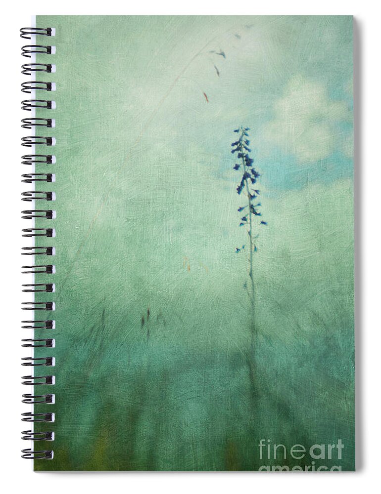 Flowers Spiral Notebook featuring the photograph Summer Meadow Poem 1 by Priska Wettstein