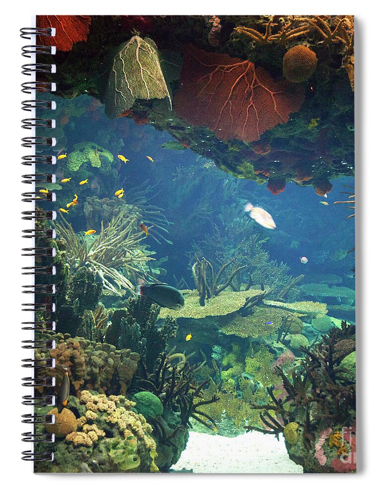 Coral Spiral Notebook featuring the photograph Sea Aquarium by Ariadna De Raadt