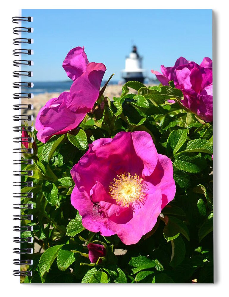 Sea Roses Spiral Notebook featuring the photograph Sea Roses by Colleen Phaedra