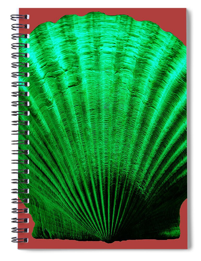 Sea Spiral Notebook featuring the photograph Sea Shell-Green-red by WAZgriffin Digital